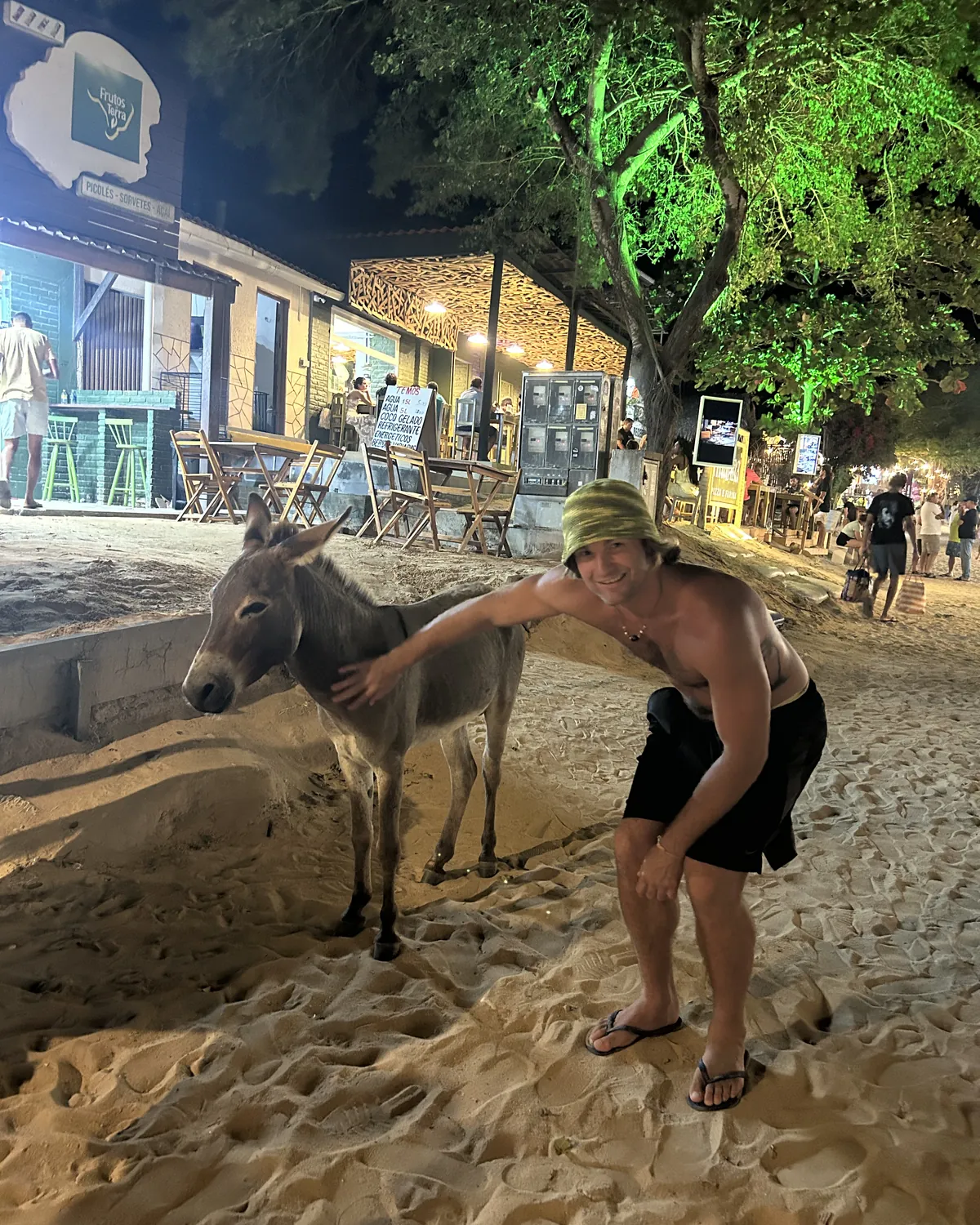 Donkeys on the sand in jericoacoara at night
