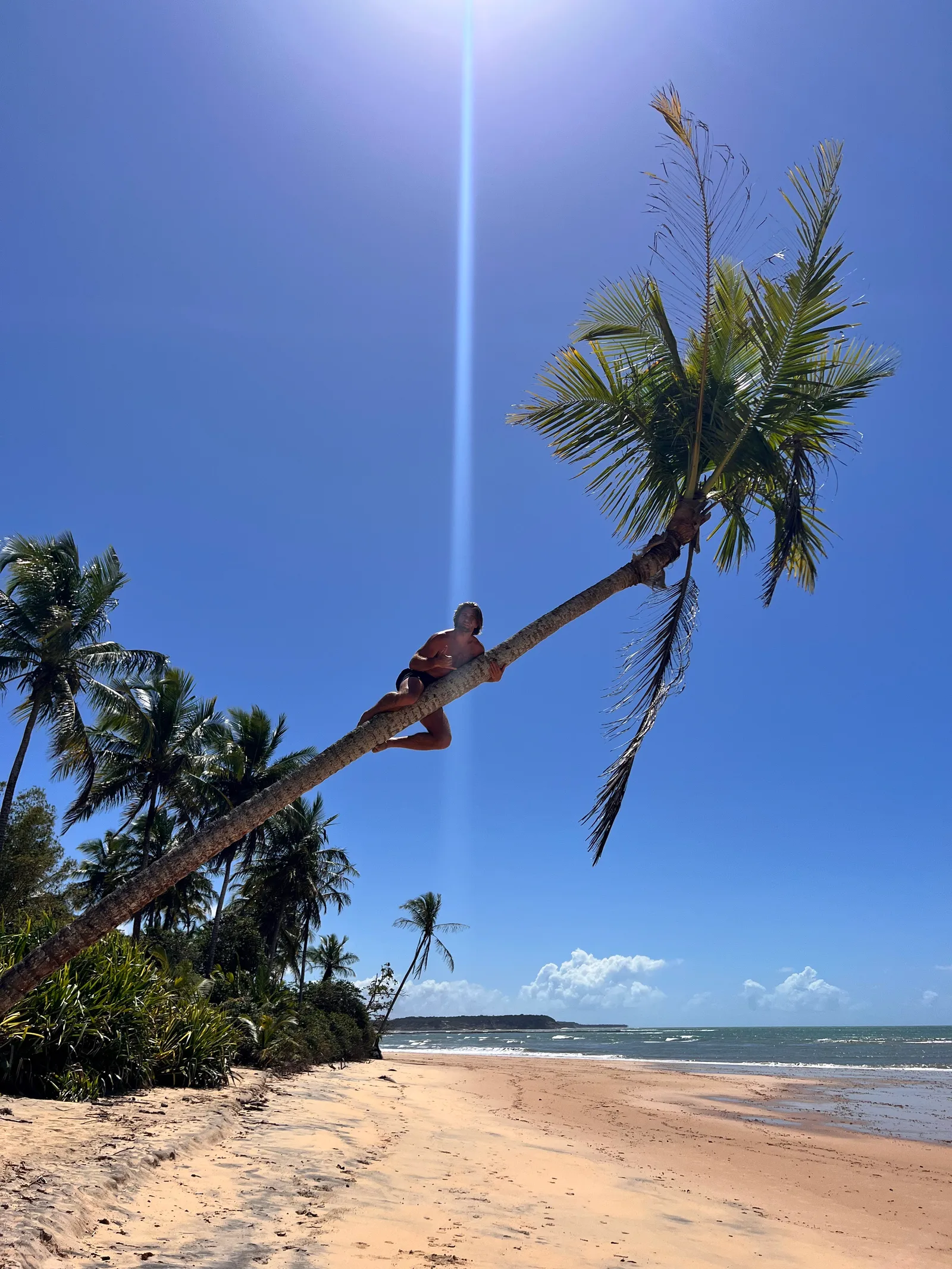 Logan climbing a coconut palm leaning over a Bahian beach
