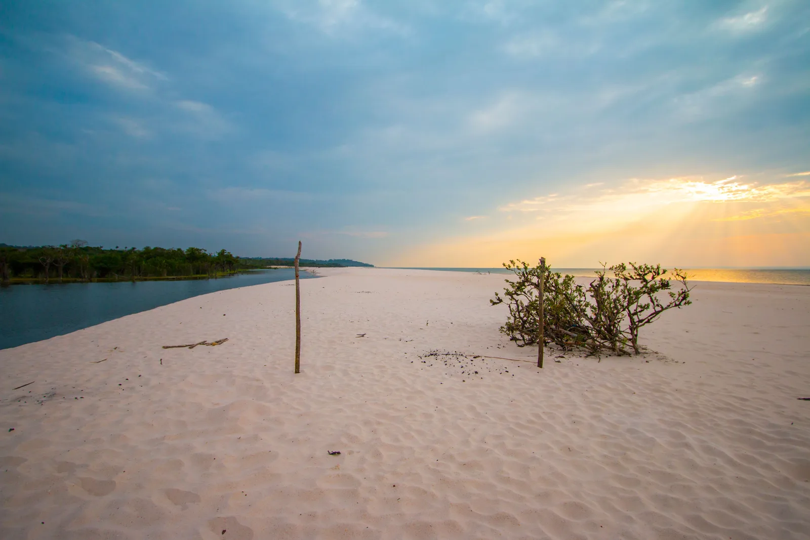 A wide, empty white sand beach with a single green shrub and a wooden pole, the river and a low line of forest under an evening sky