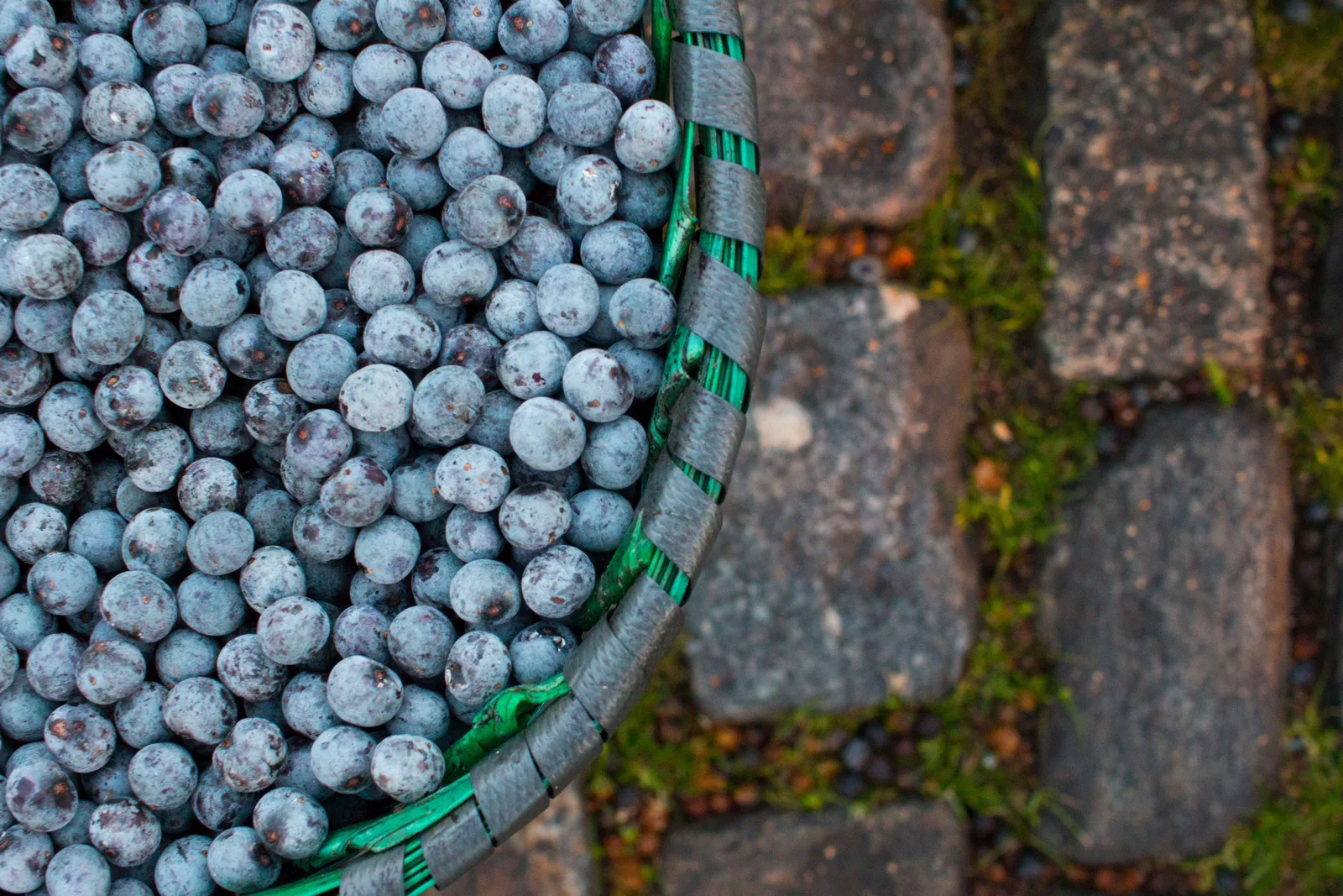 A woven basket heaped with small dark purple açaí berries, set on a cobbled pavement