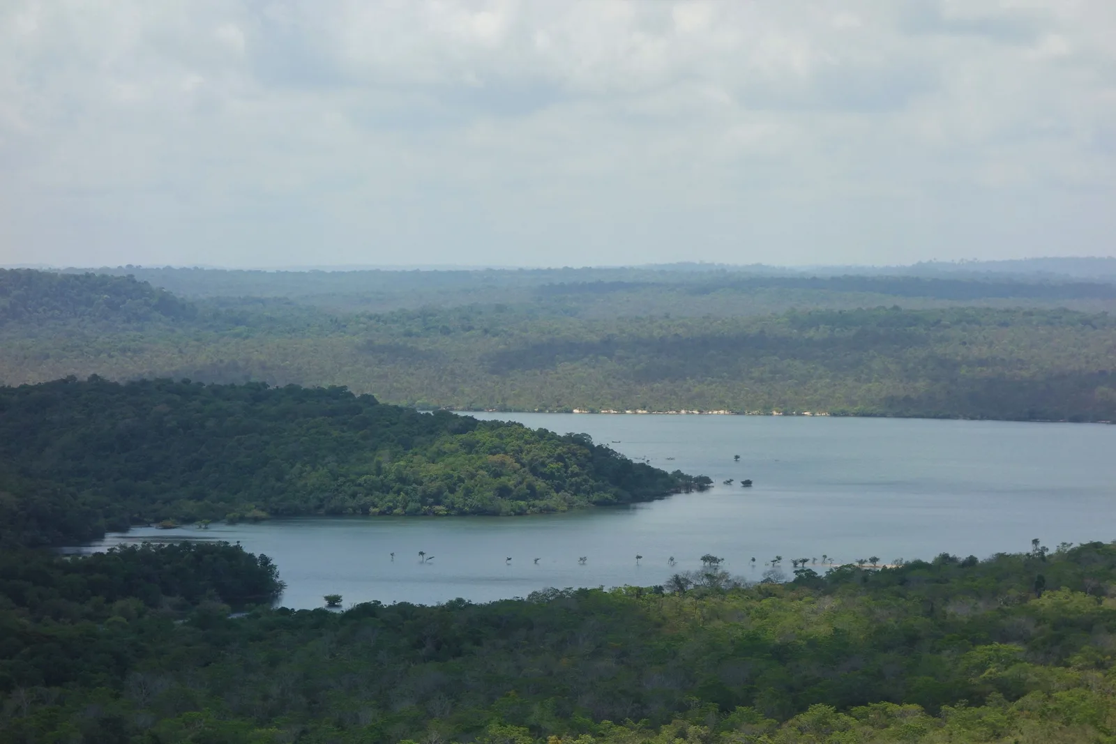 Looking down from a forested hilltop over a winding lagoon of pale blue water, low green forest all around it and the land fading into haze