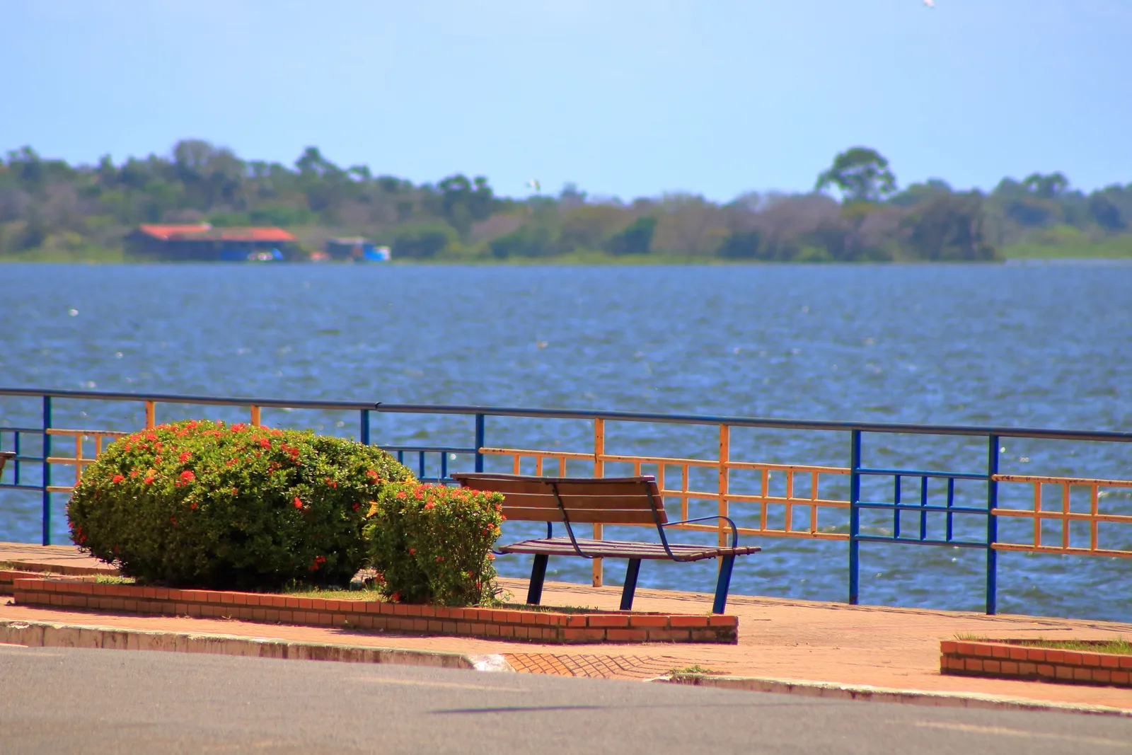A riverside promenade with a bench, a red flowering shrub and a blue railing, wide blue water beyond and a low green shore on the far side