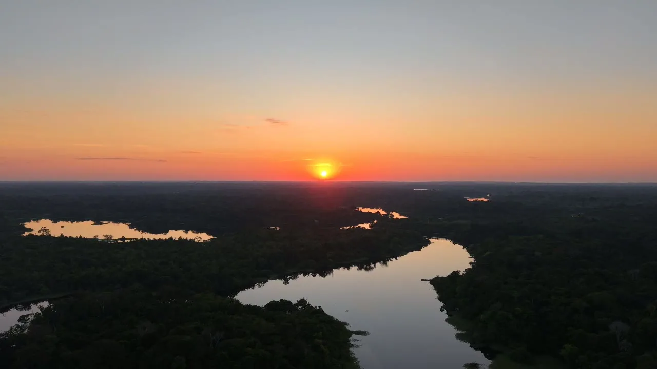 Amazon rainforest stretching to the horizon along a river bend