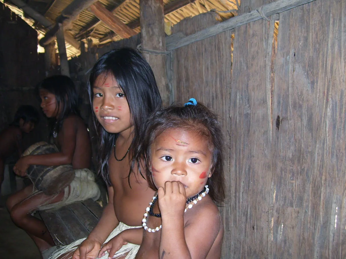 A riverine community on the banks of the Amazon