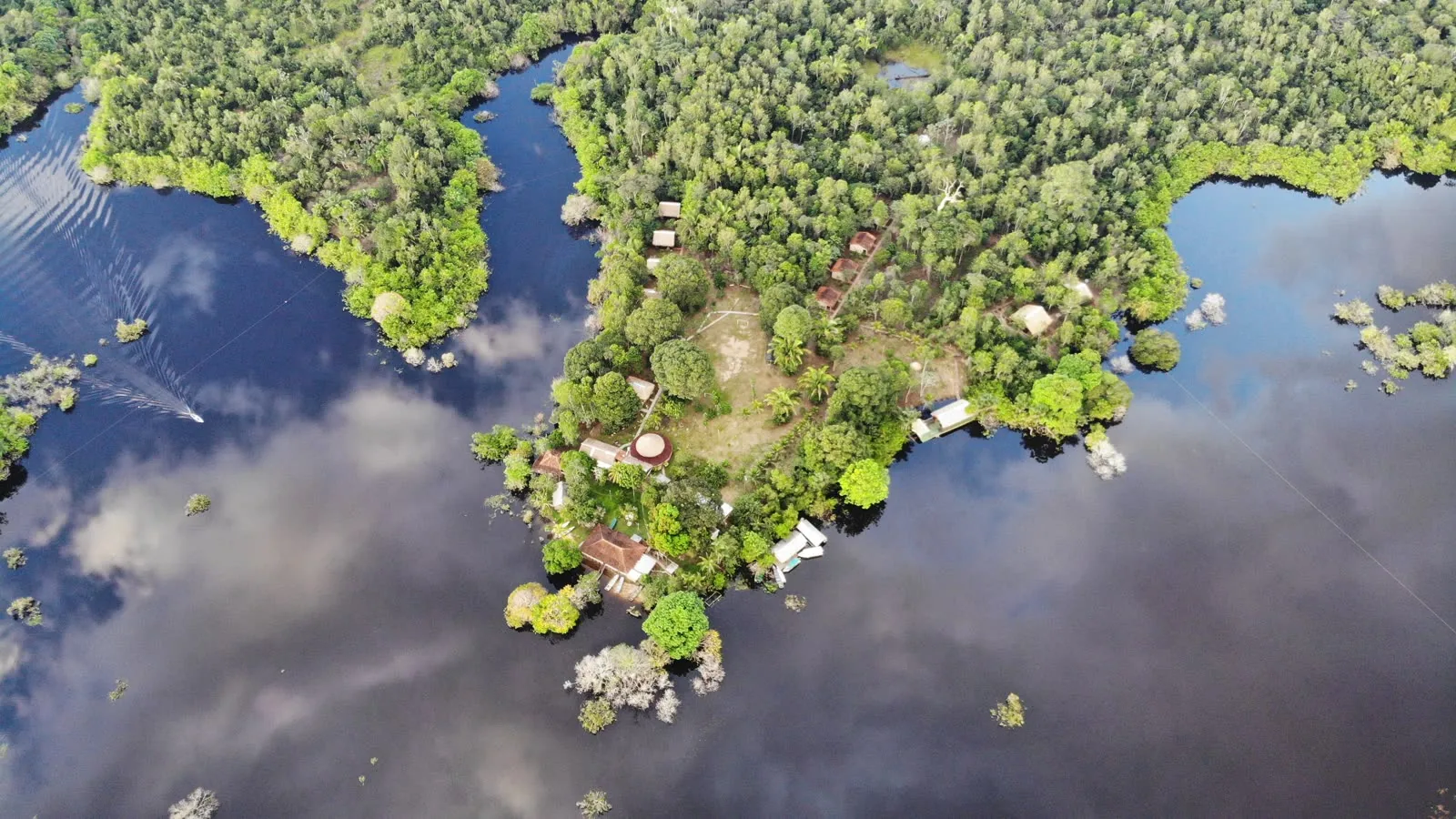 Unbroken Amazon rainforest seen from the air