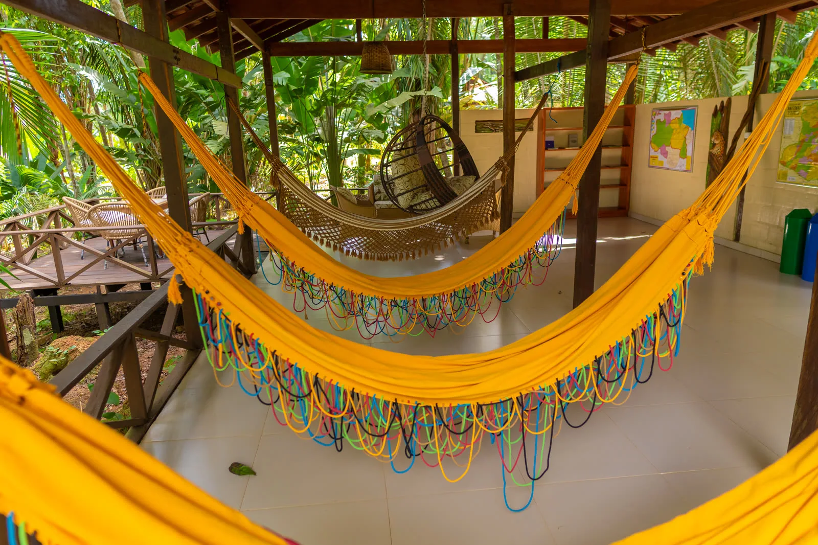 A rainforest lodge walkway raised above the forest floor