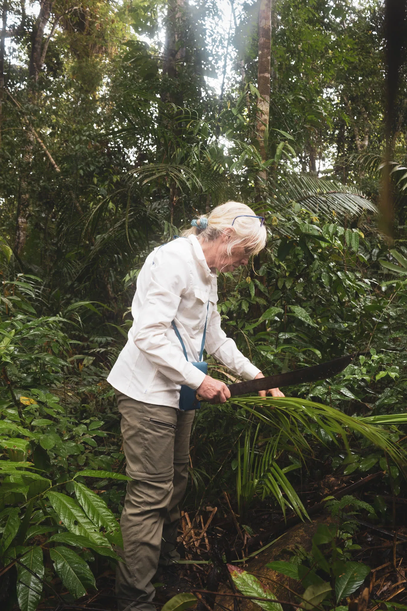 Trekking through dense Amazon rainforest