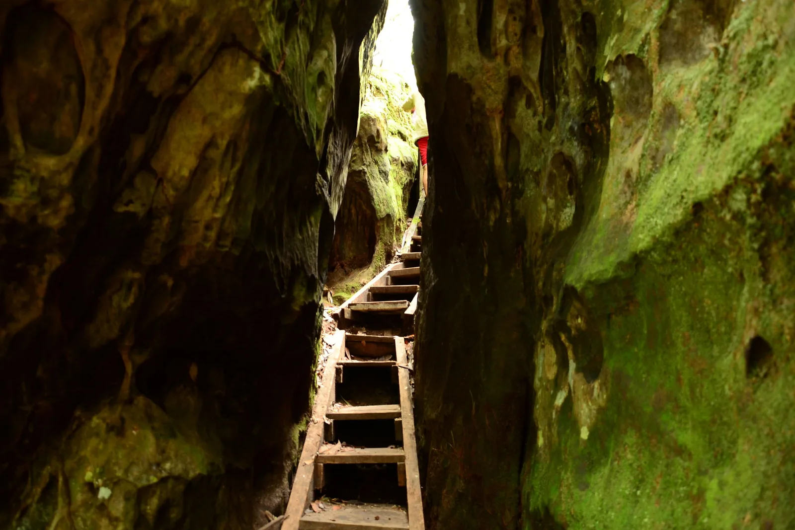 A wooden ladder and steps climbing a narrow cleft between damp mossy sandstone walls, with daylight coming down from above