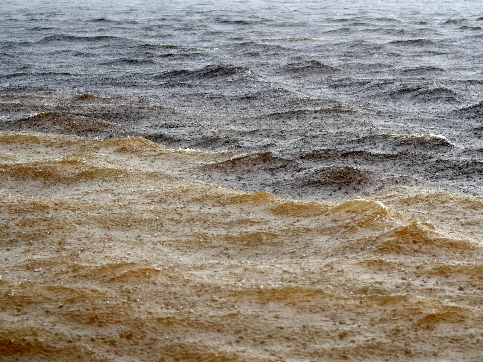 A close view of the water surface where dark tannin-black water and opaque sandy water churn against each other along a ragged boundary