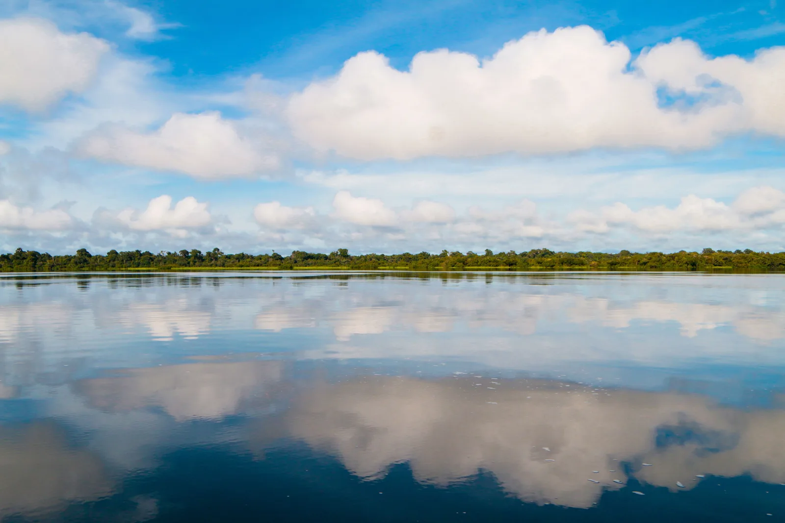 White cumulus scattered across a blue sky and mirrored in perfectly flat dark water, a thin green line of forest between the sky and its reflection