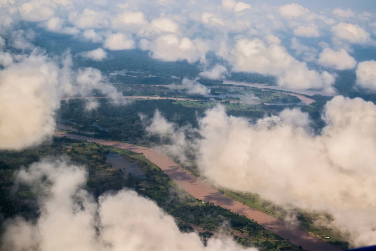 Low white clouds drifting over unbroken dark rainforest, a river showing through a gap in them