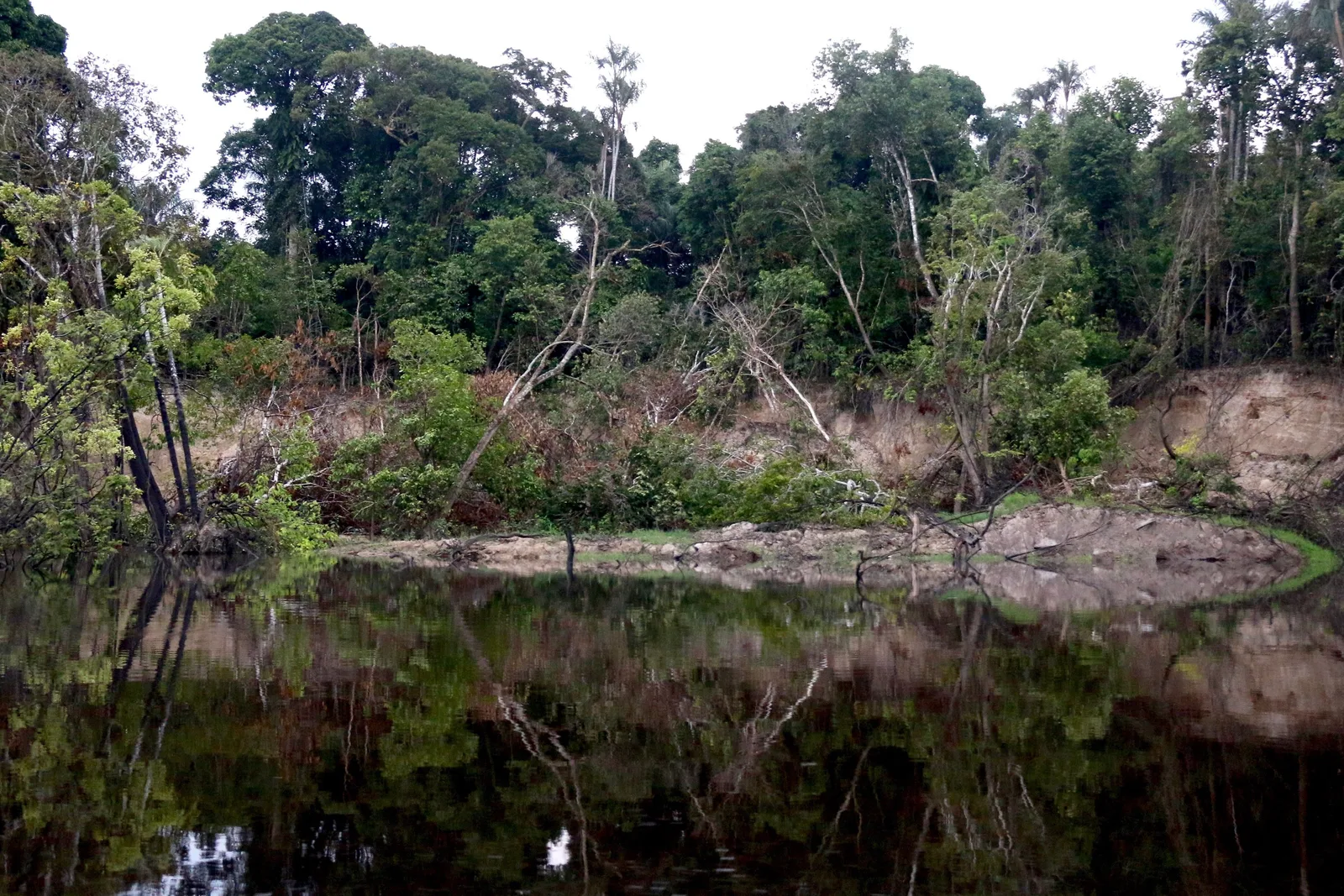A bare river bank at low water, dead branches and pale sand above the waterline, the whole thing reflected in still dark water
