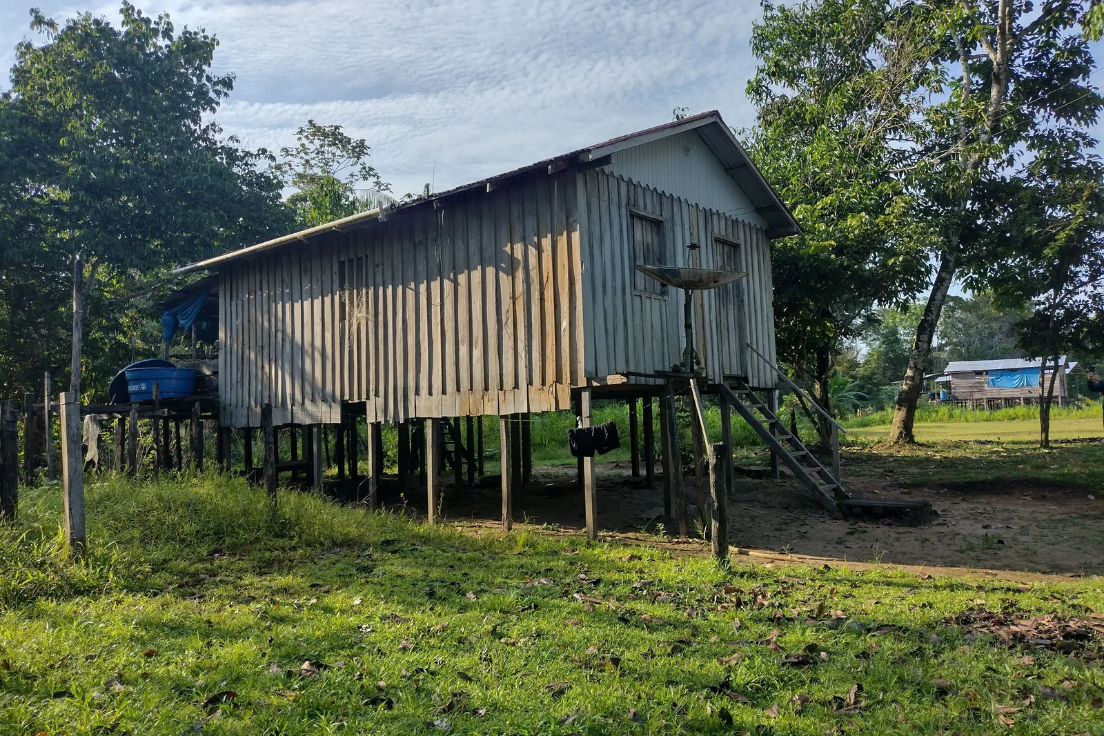 A wooden house raised on tall stilts in a grassy clearing, built high enough to stay dry when the water comes up