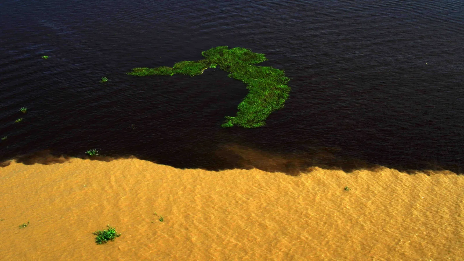The Meeting of the Waters from directly above: near-black water across the top of the frame, opaque orange-brown water across the bottom, and a curl of floating green vegetation drifting on the dark side