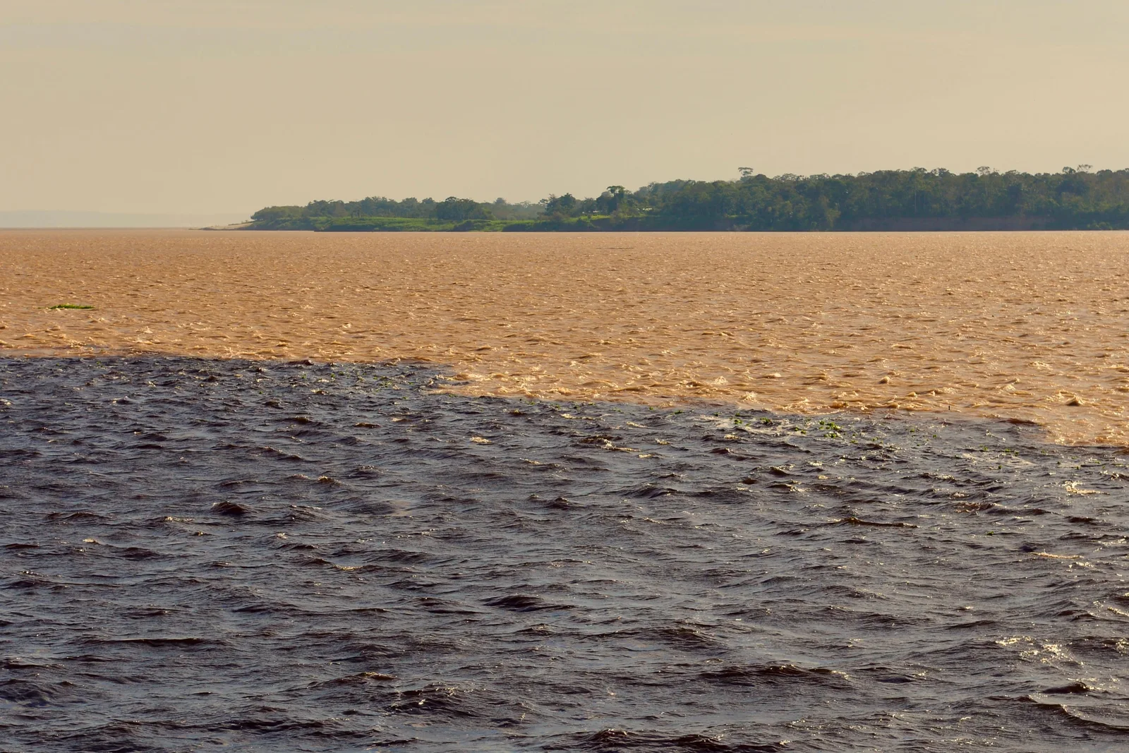 The meeting of the waters at eye level from a boat: dark rippled water in the foreground, a hard line, then flat sandy water running to a low forest horizon