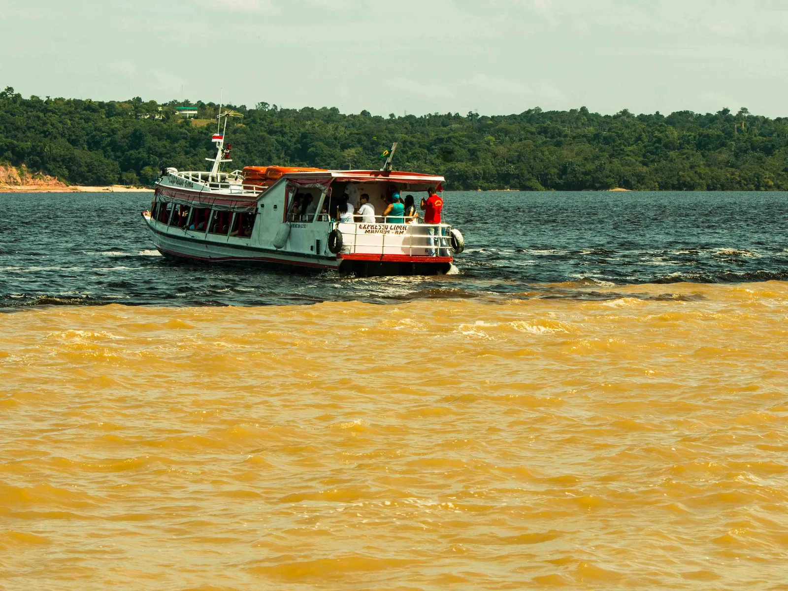 A small white and red tour boat sitting directly on the line where dark water meets sandy brown water, with a low forested shore behind it