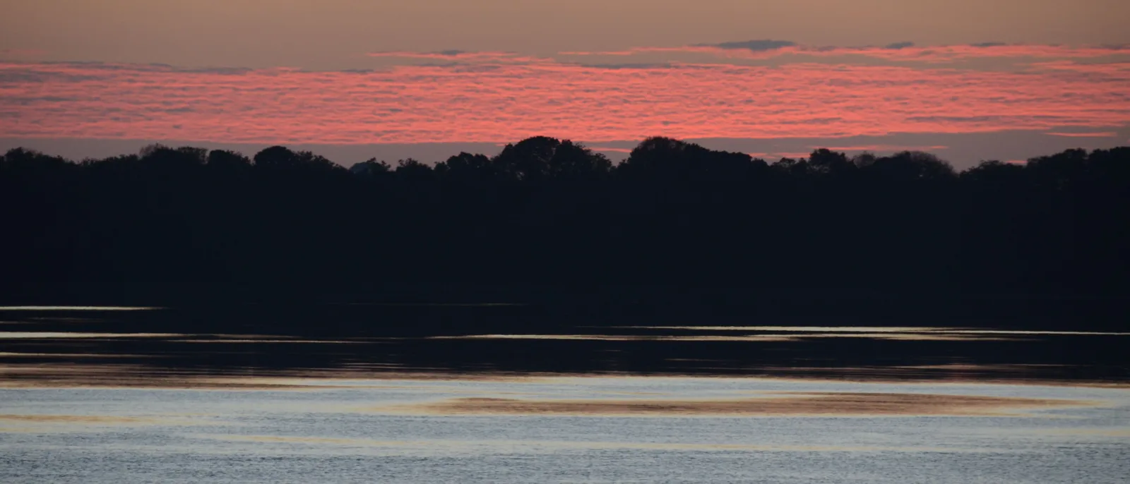 A pink and gray dawn over the Rio Negro, a low black line of forest along the horizon and the light spreading across flat pale water