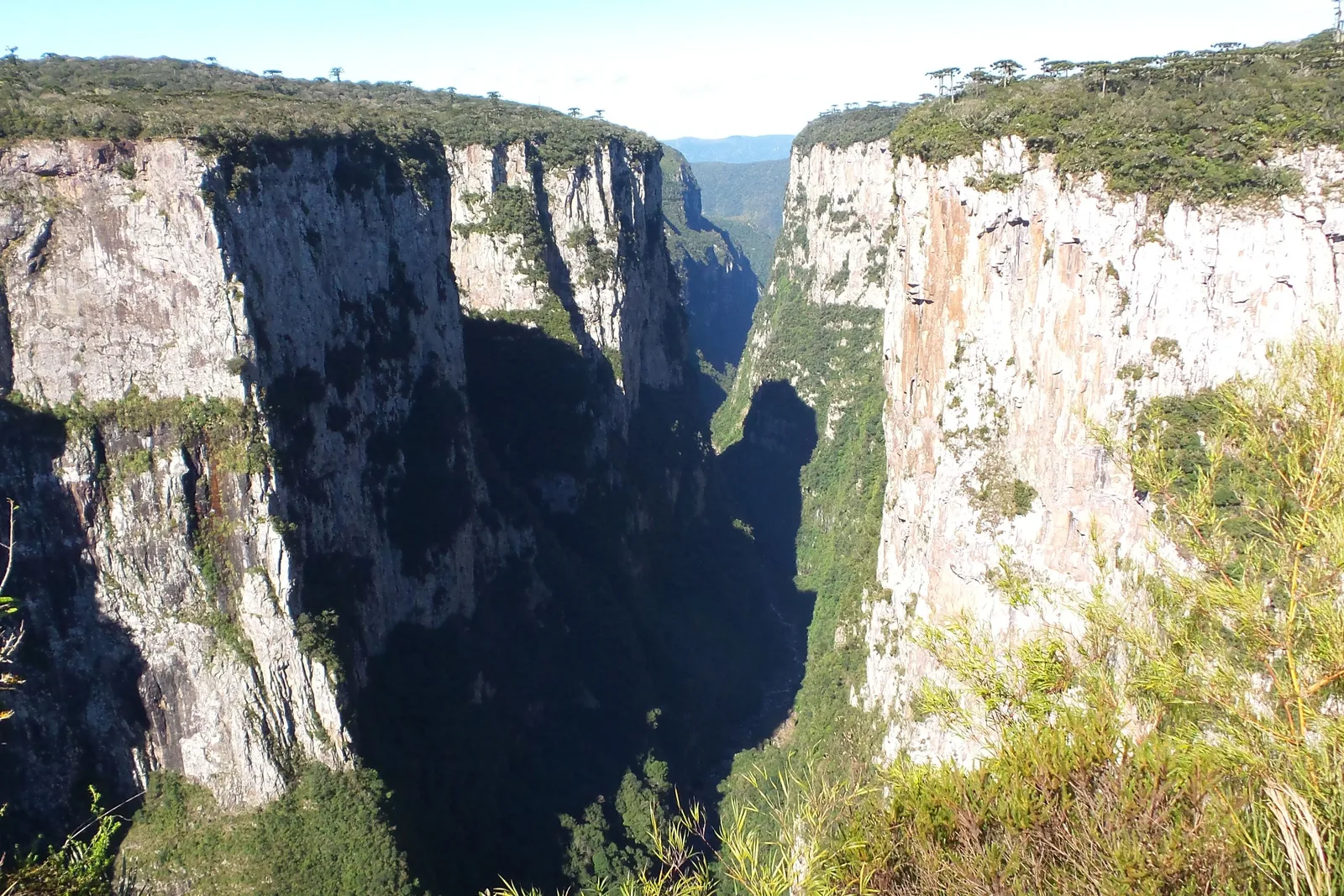 The Itaimbezinho seen from the Cotovelo viewpoint, sunlit cliffs on both sides of a deep shadowed gorge