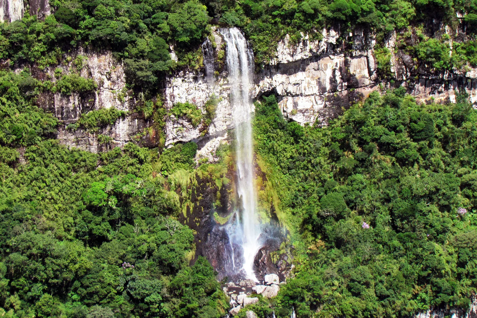 A white waterfall dropping down a pale cliff into thick green forest in the Fortaleza canyon, seen from the main viewpoint