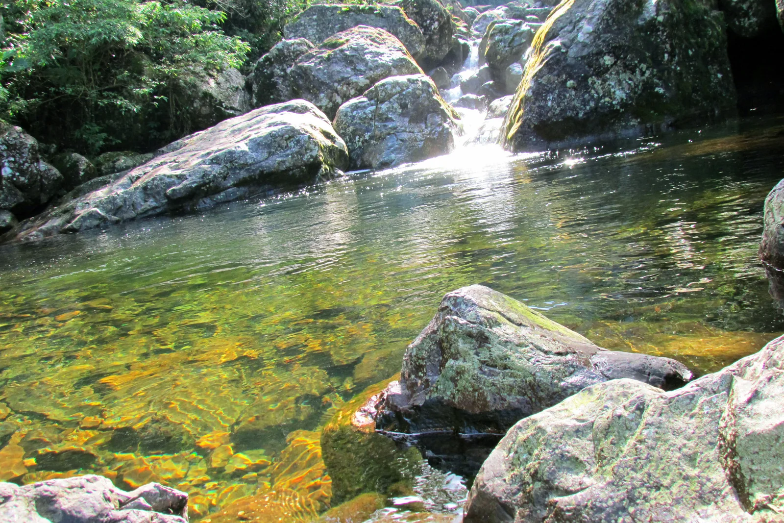 A small waterfall spilling between mossy boulders into a clear green pool with a golden stony bottom