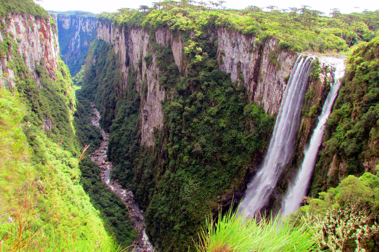 Two long waterfalls falling into a narrow green gorge between steep rock walls at the head of the Itaimbezinho, grass in the foreground