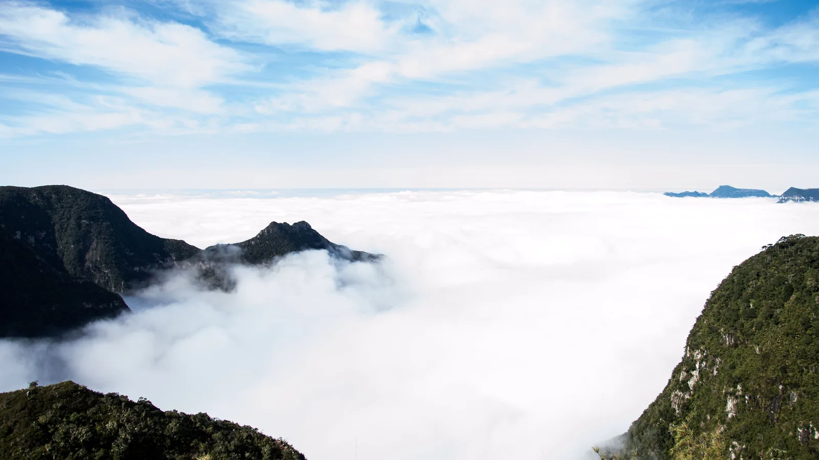 A sea of cloud filling the valleys below the escarpment, dark forested peaks breaking through it and green slopes in the foreground
