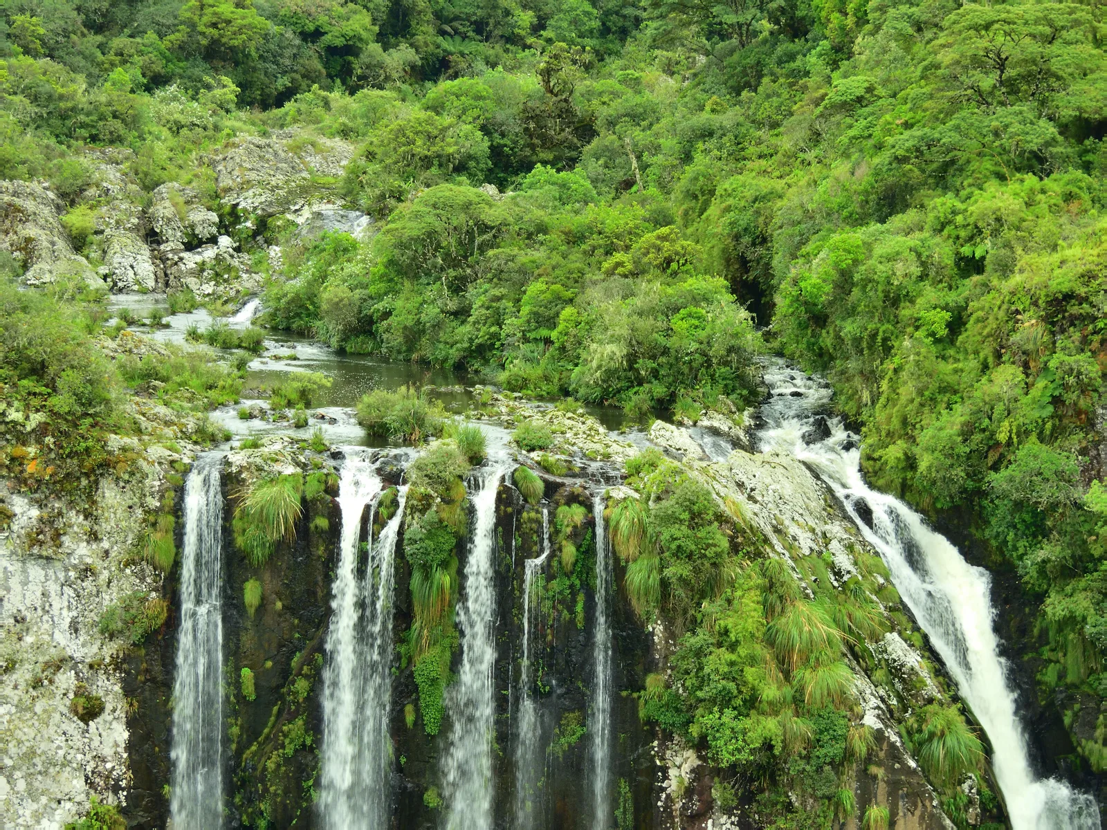 The Cachoeira das Andorinhas dropping in several white strands over a dark rock lip into the Itaimbezinho, dense green forest around it