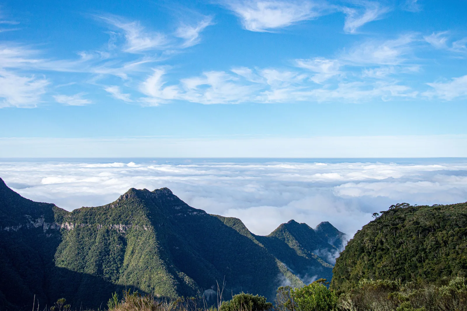 A sea of white cloud filling the lowlands below the escarpment, with dark forested peaks standing out of it under a blue sky