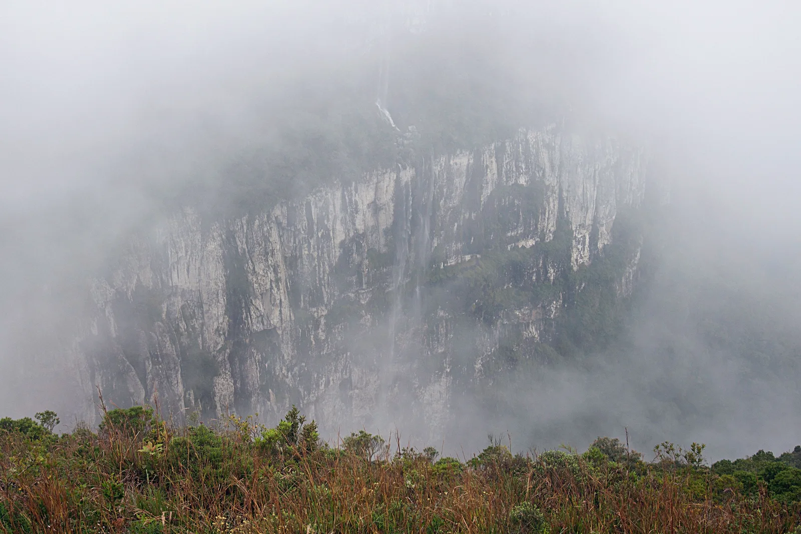 The cliffs of the Fortaleza canyon almost lost in thick fog, only a pale outline of rock showing behind low grassland at the rim
