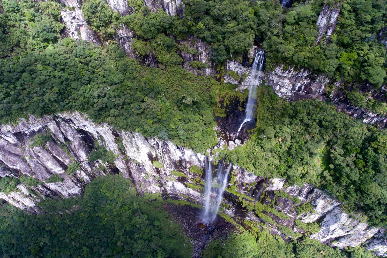 An aerial view down onto a pale curving cliff band in the Fortaleza canyon, a thin waterfall dropping from the forest above it and another below