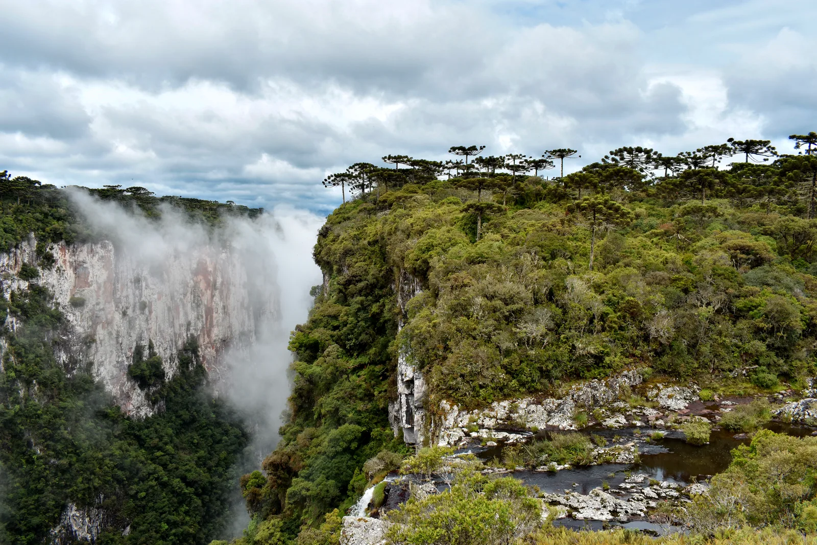White cloud rising out of the Itaimbezinho canyon against its far wall, a forested rim with a small stream in the foreground on the right