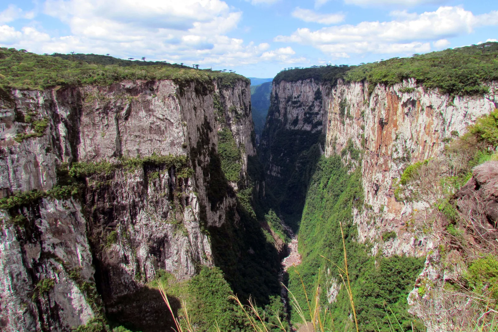 The sheer gray and ocher basalt walls of the Itaimbezinho canyon facing each other across a forested gorge, seen from the rim