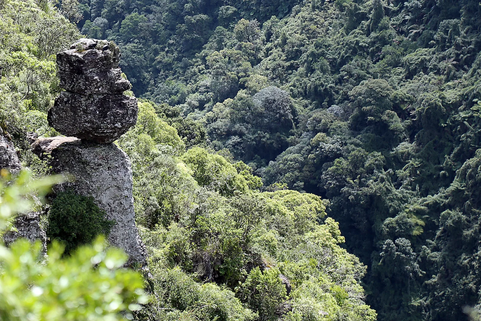 A narrow rock pillar with a boulder balanced on top, standing above steep forested slopes in the Parque Nacional da Serra Geral