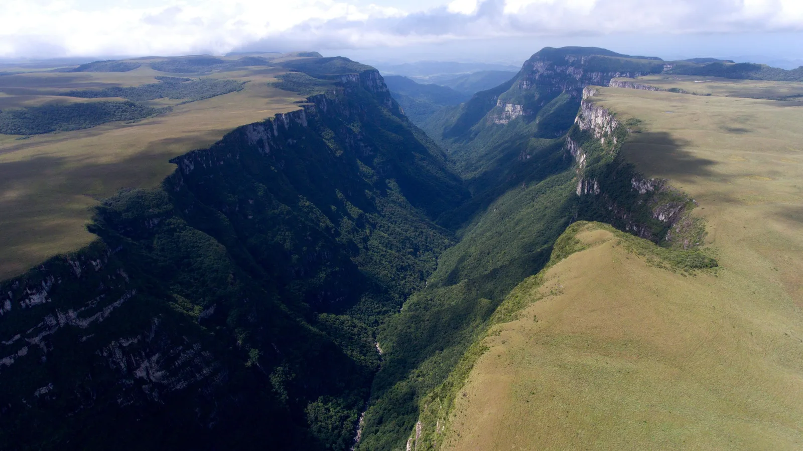 An aerial view along the Fortaleza canyon: a deep V-shaped valley filled with dark forest, golden grassland running flat to the edge of the cliffs on the right