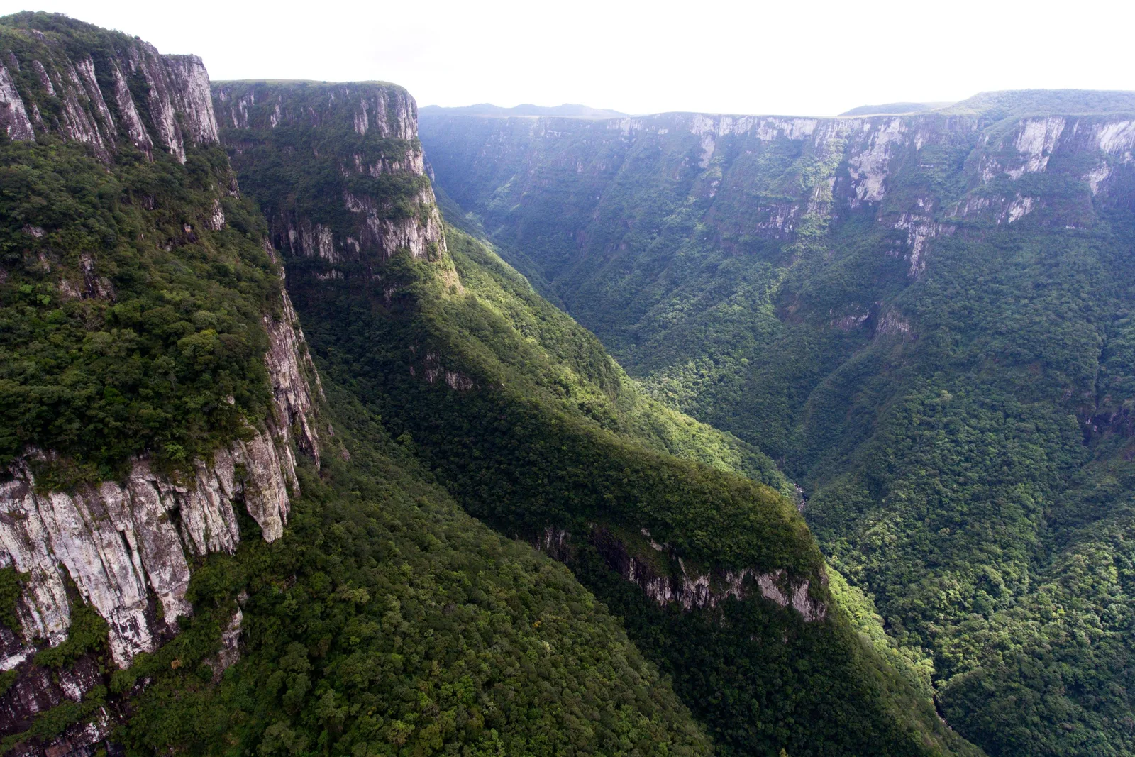 Looking along the Fortaleza canyon from the air, a sheer cliff on the left and forested slopes dropping into a long valley