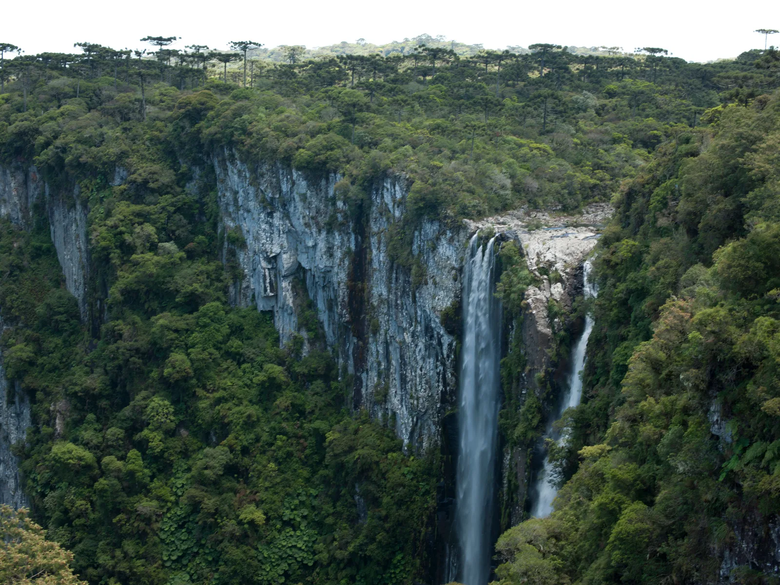 Two waterfalls dropping side by side down a sheer gray wall into the forested Itaimbezinho canyon, araucaria trees along the rim above