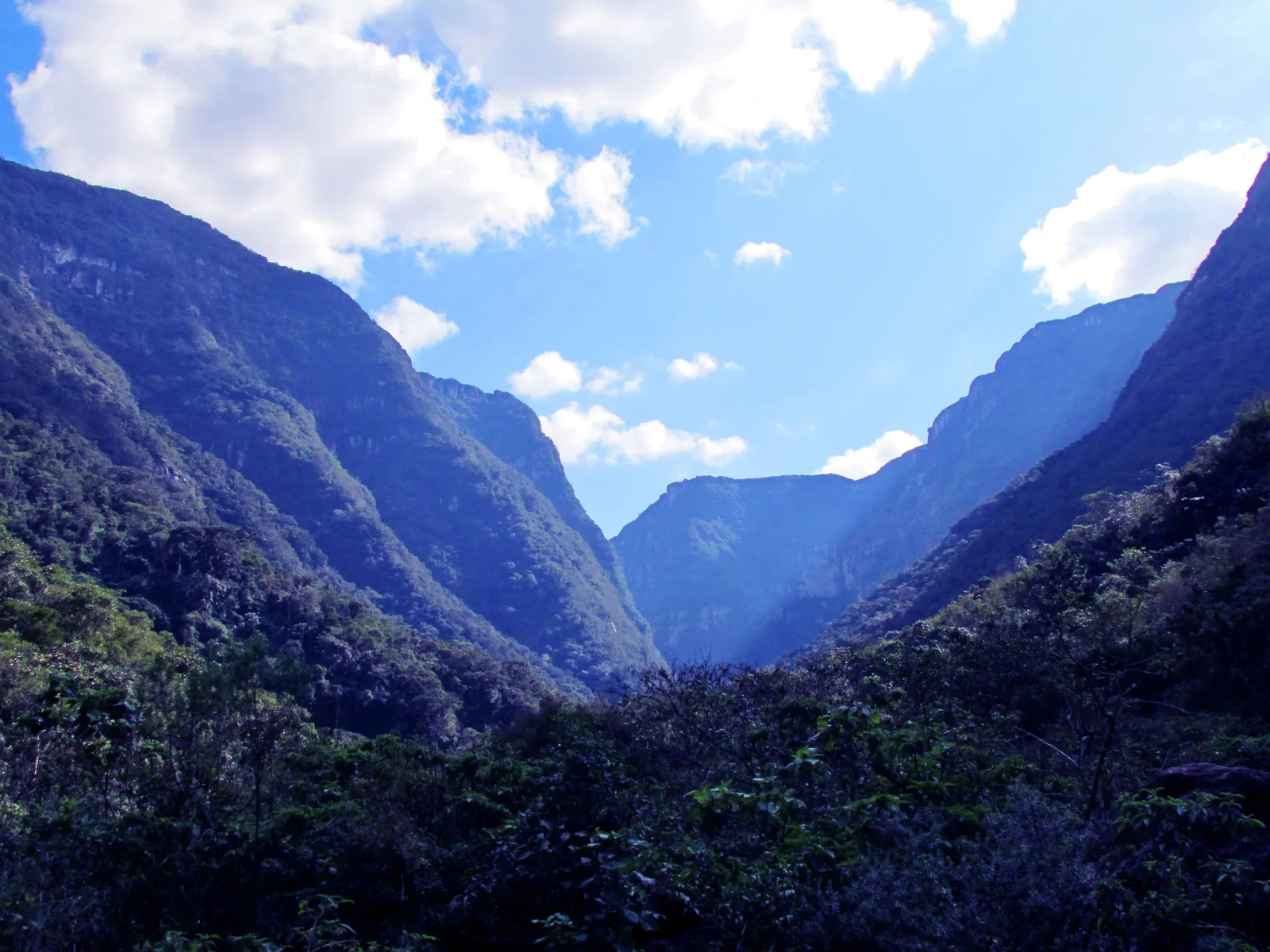The Malacara canyon seen from the forest on its floor: two steep wooded walls closing in toward a gap, under a blue sky with scattered cloud