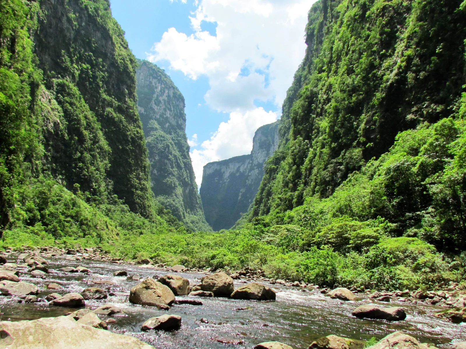 A shallow rocky river running between two towering forested canyon walls under a bright blue sky with white cloud