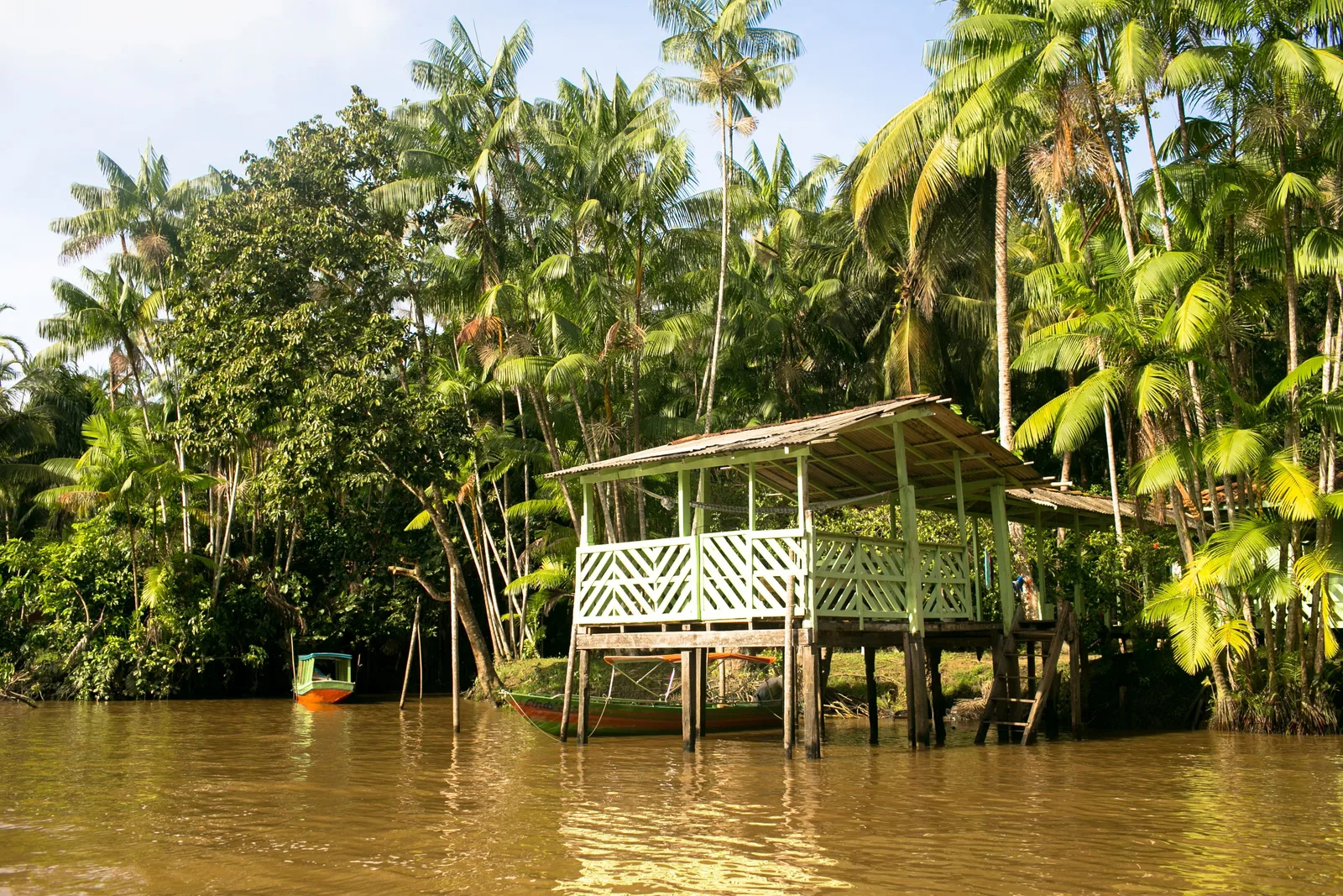 A wooden house on stilts at the edge of Ilha do Combu with a palm-thatched veranda over the brown water, dense forest and açaí palms rising behind it