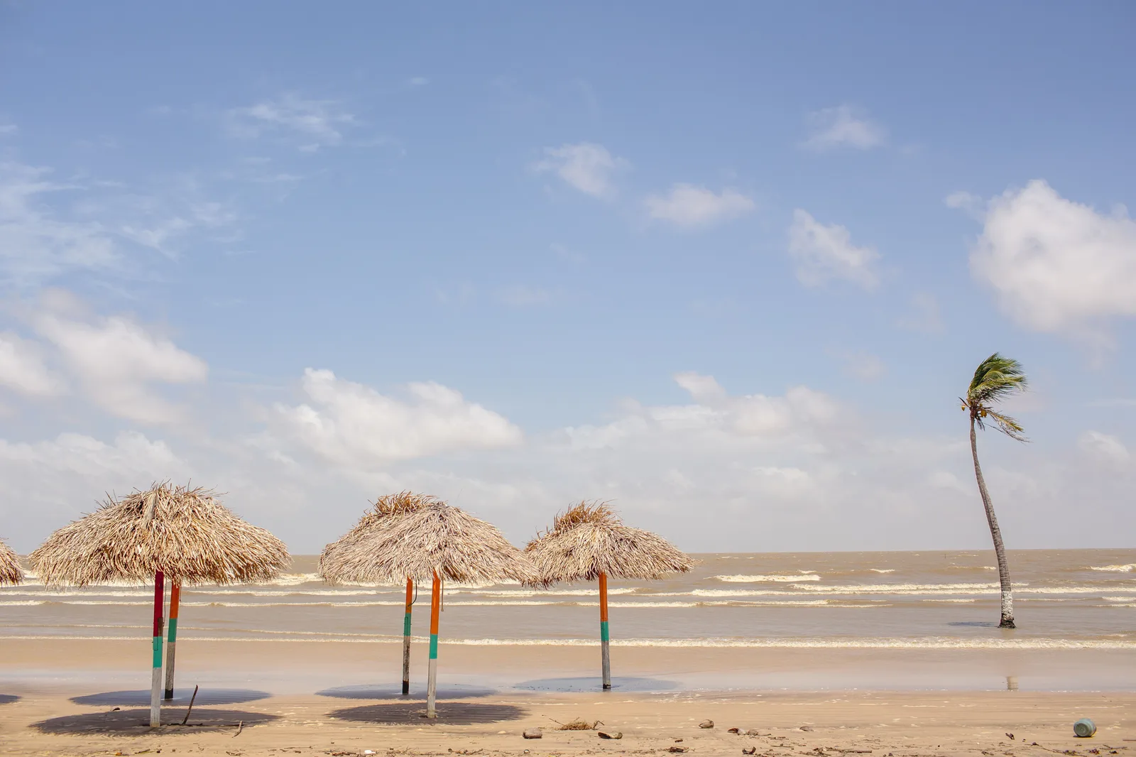 Thatched parasols standing on their poles along the wide pale sand of Praia do Pesqueiro on Marajó, shallow water behind them and one palm bent hard by the wind