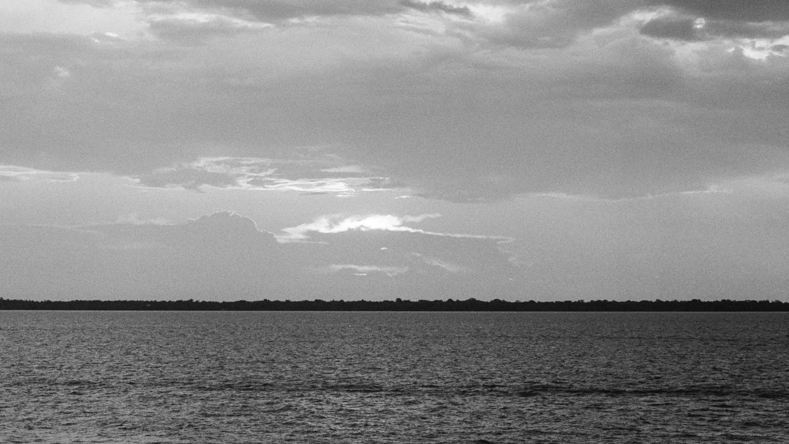 Black and white: the wide flat water of the Guajará bay under a bank of low evening cloud, with a dark unbroken line of forest along the far shore