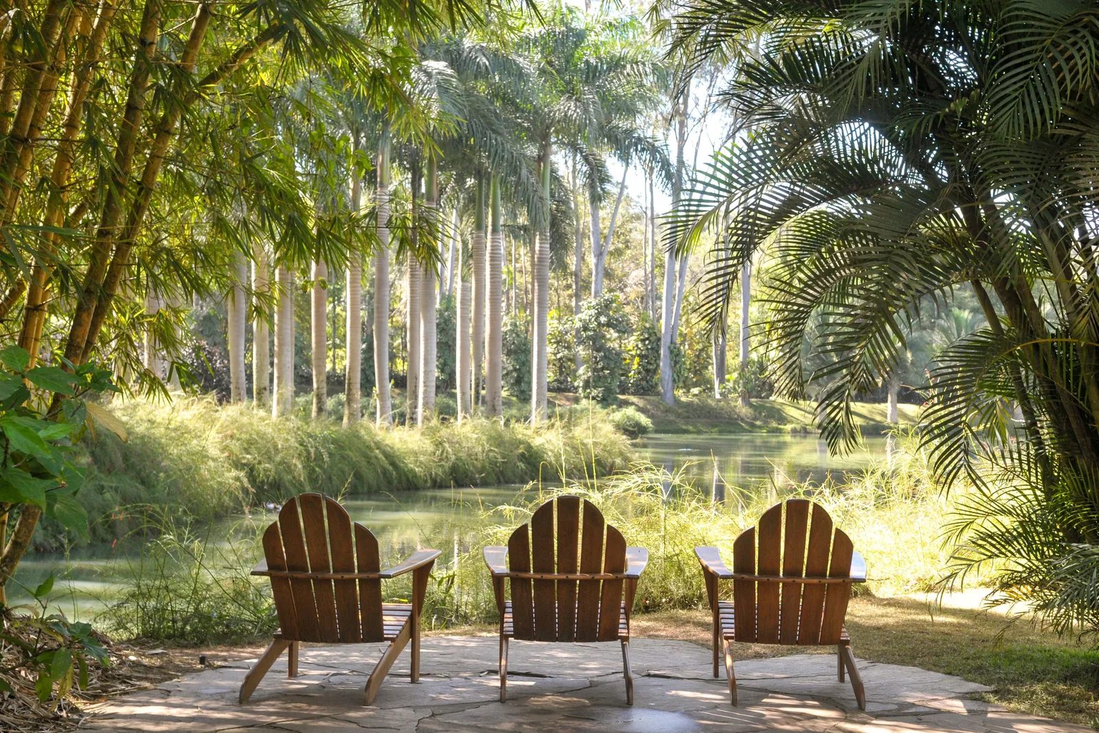 Three wooden Adirondack chairs facing a pond at Inhotim, tall palms and dense green planting all around it in soft morning light