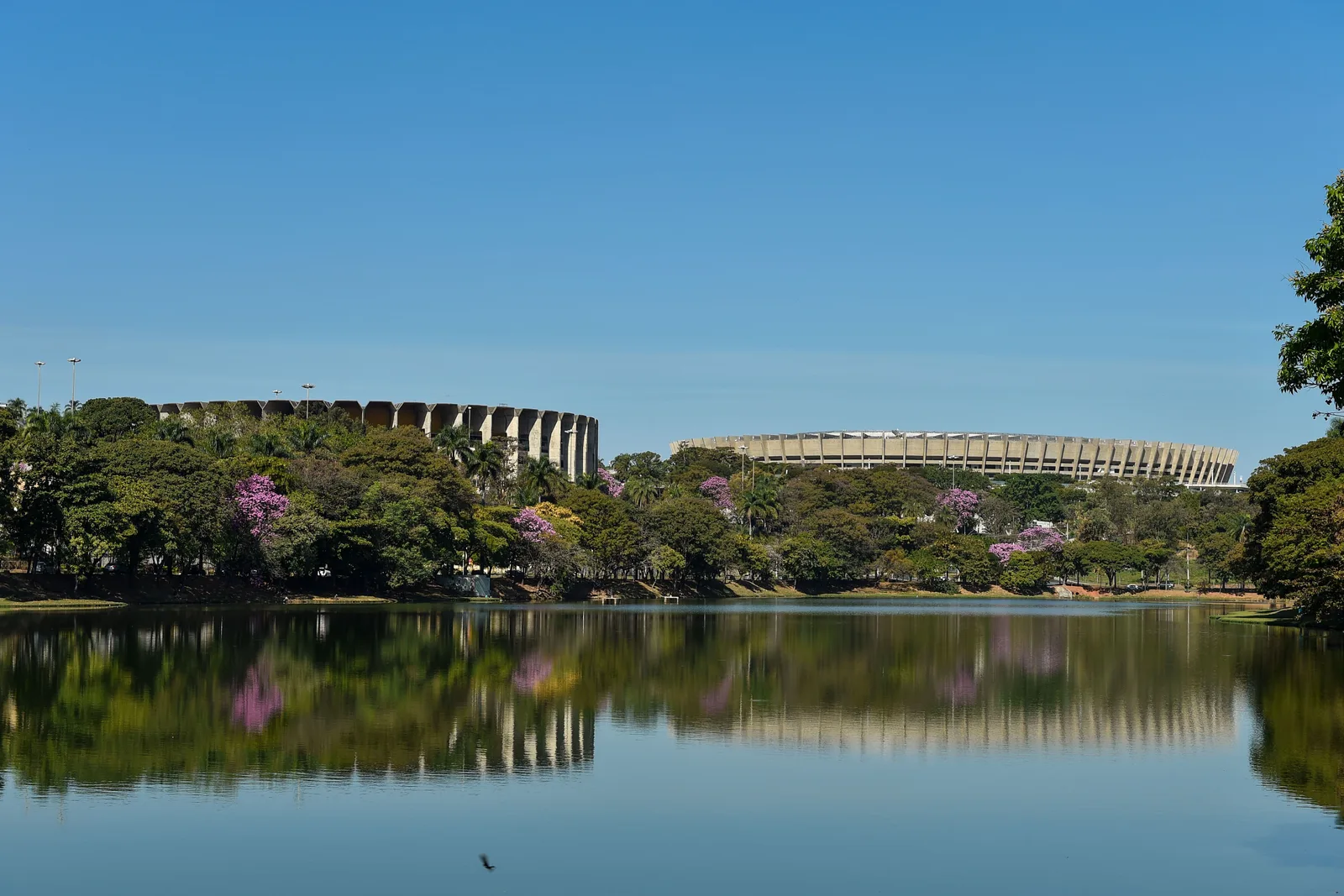 The Pampulha lake on a clear day, a band of trees along the far shore and the curved concrete stands of the Mineirão stadium rising behind them