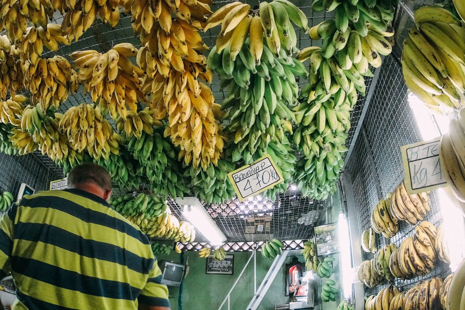 Bunches of green and yellow bananas hanging from the ceiling of a fruit stall inside the Mercado Central, a man in a striped shirt beneath them
