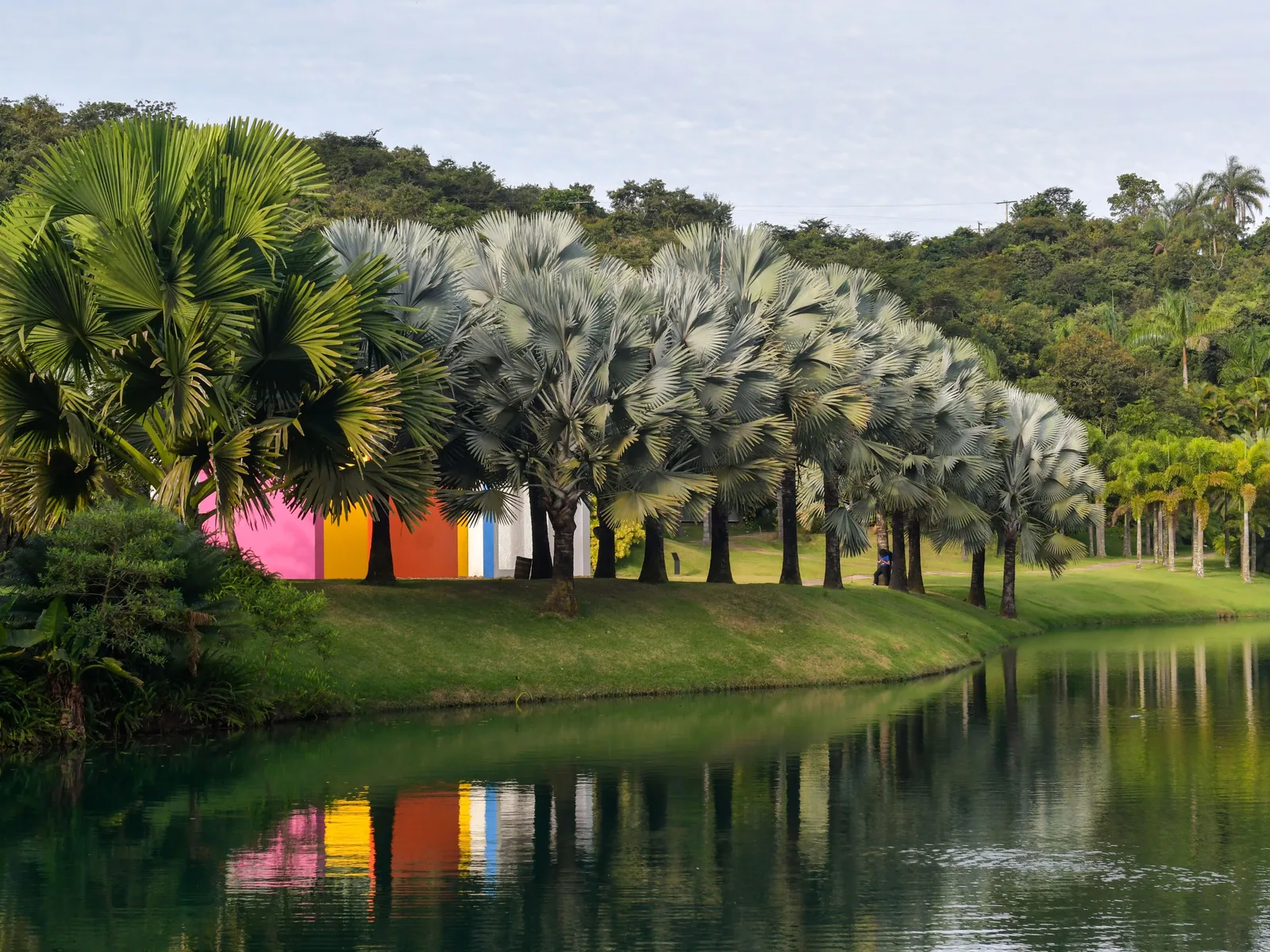 A lake at Inhotim under a pale overcast sky: a row of silvery fan palms along the far bank, brightly painted walls in pink, yellow, orange and blue between them, and the whole scene mirrored in the still water