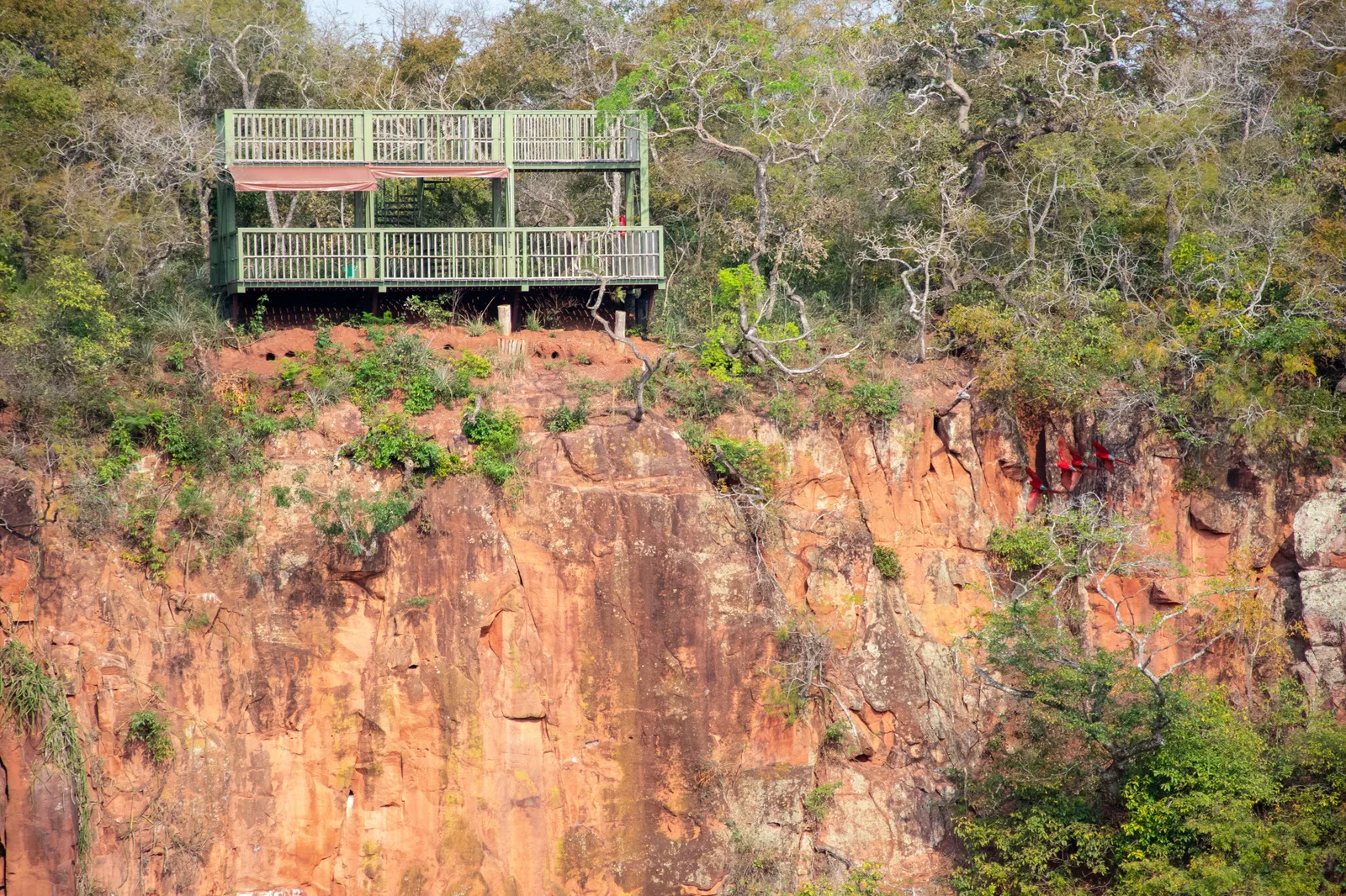 A green steel viewing platform standing at the red sandstone edge of the Buraco das Araras, with scrub forest growing along the cliff face below it