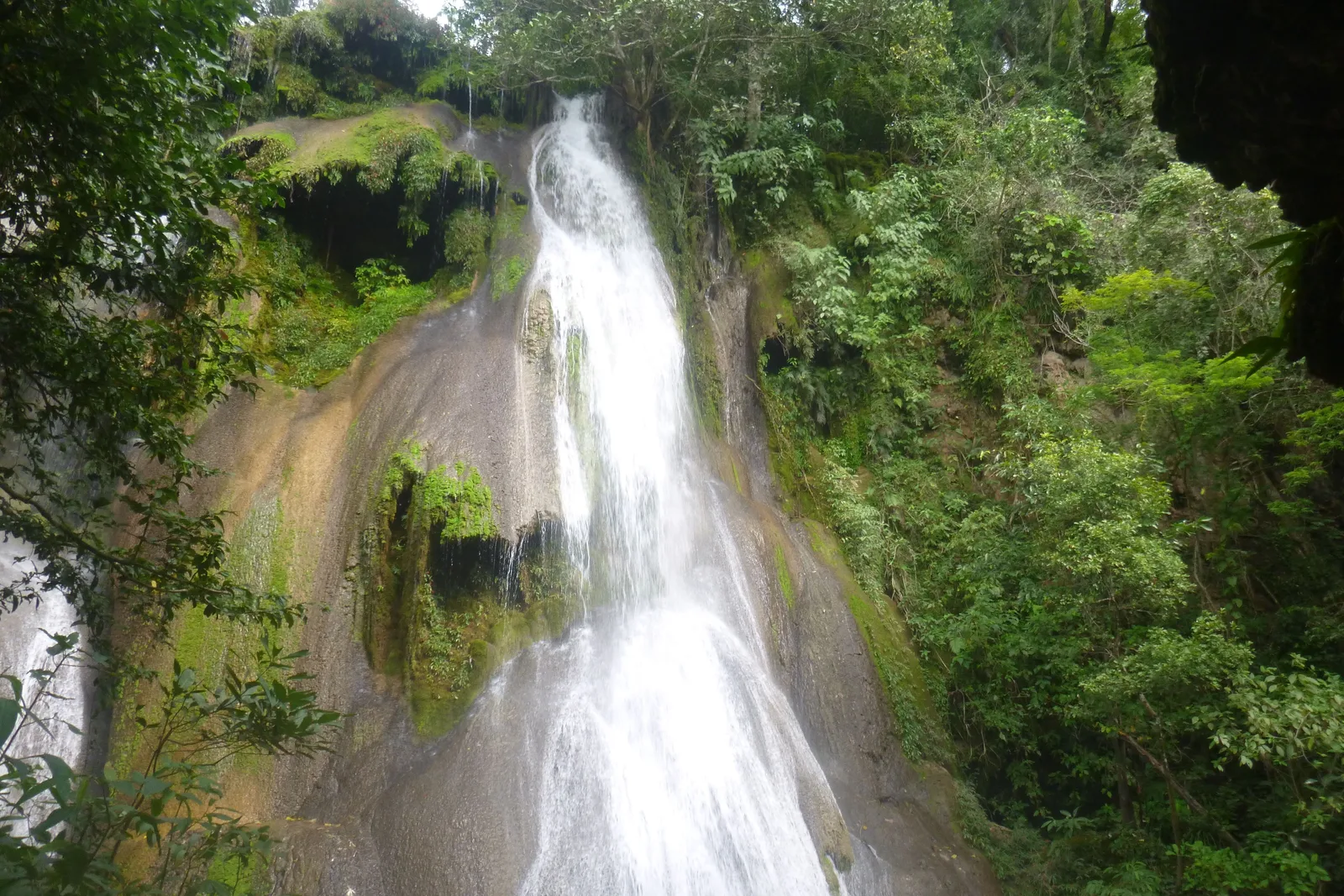 A tall, narrow waterfall falling down a steep mossy rock face into a pool on the Boca da Onça trail, surrounded by thick green forest
