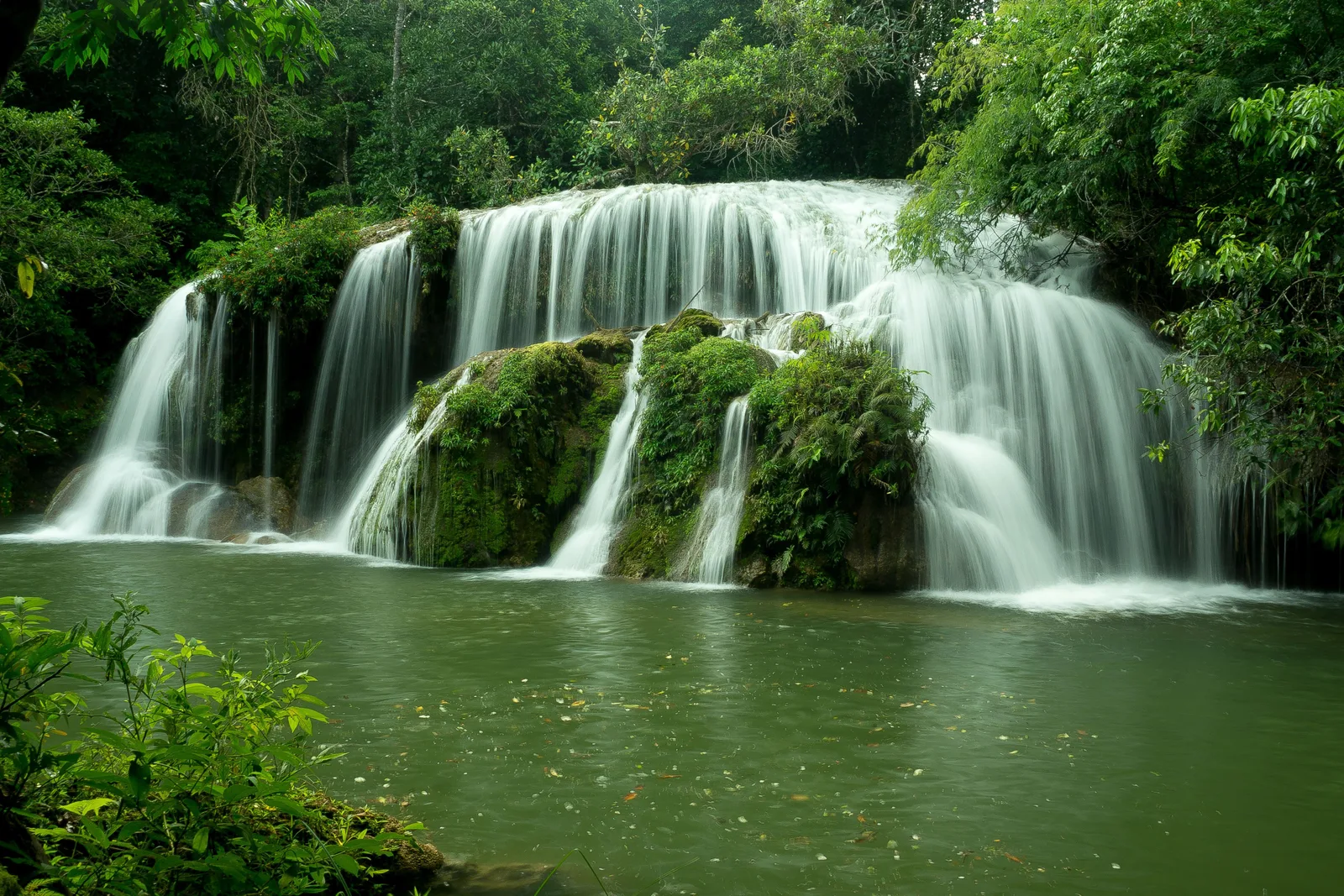A wide, low waterfall on the Rio Mimoso falling in several curtains over a moss-covered travertine ledge into a green pool, with dense forest behind it