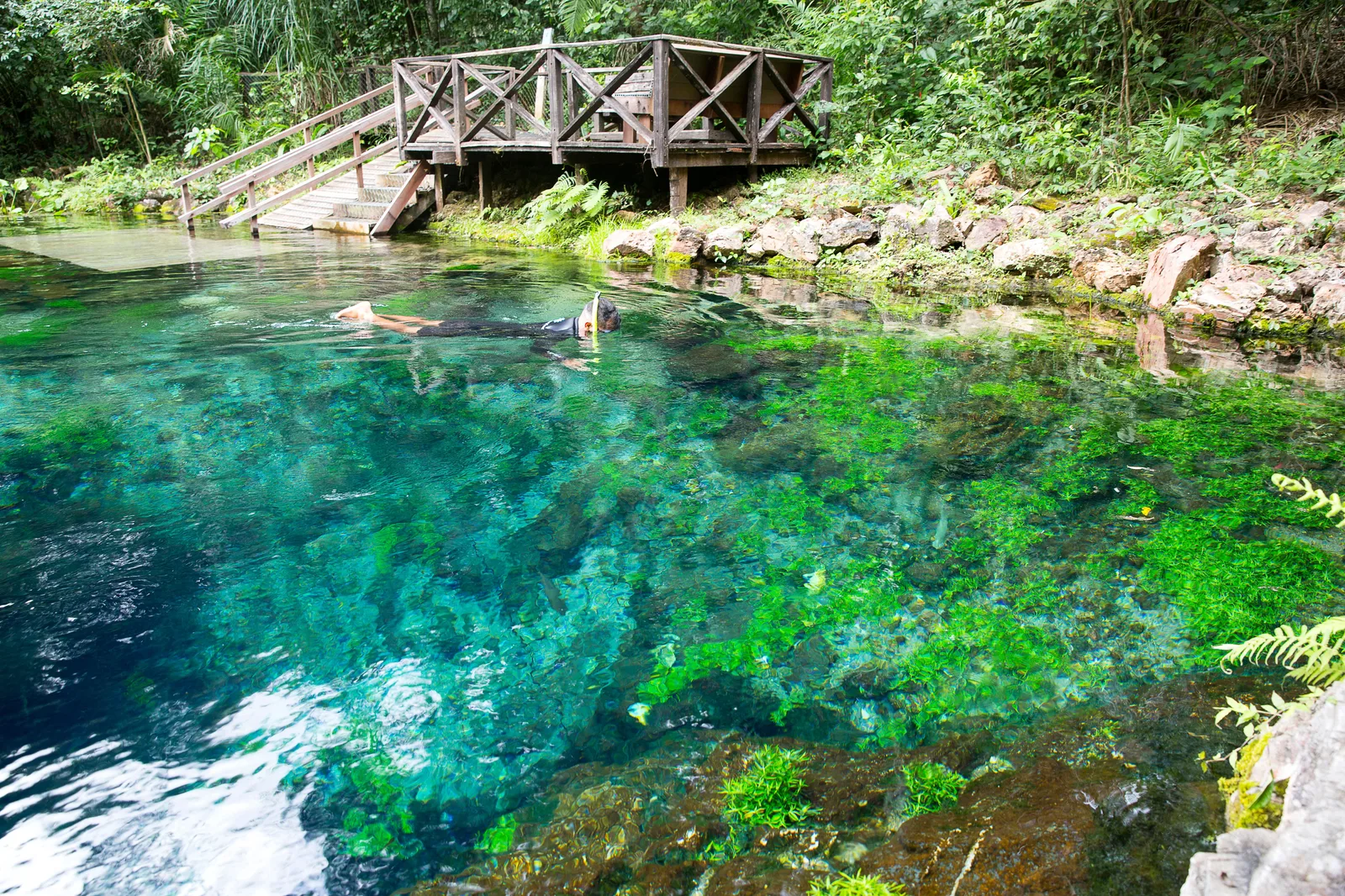 A wooden footbridge crossing a vivid blue-green spring at the Nascente Azul, with swimmers in the water beneath it and forest closing over the far bank