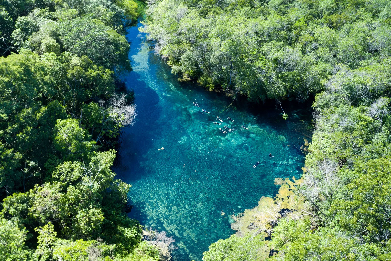 A deep blue river seen from the air, cutting a narrow line through unbroken forest in the Bodoquena country near Jardim